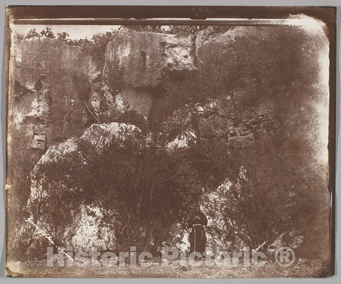Historic Pictoric Photo Print : George Wilson Bridges - Garden of Selvia, Syracuse, Sicily : Vintage Wall Décor : 10in x 08in