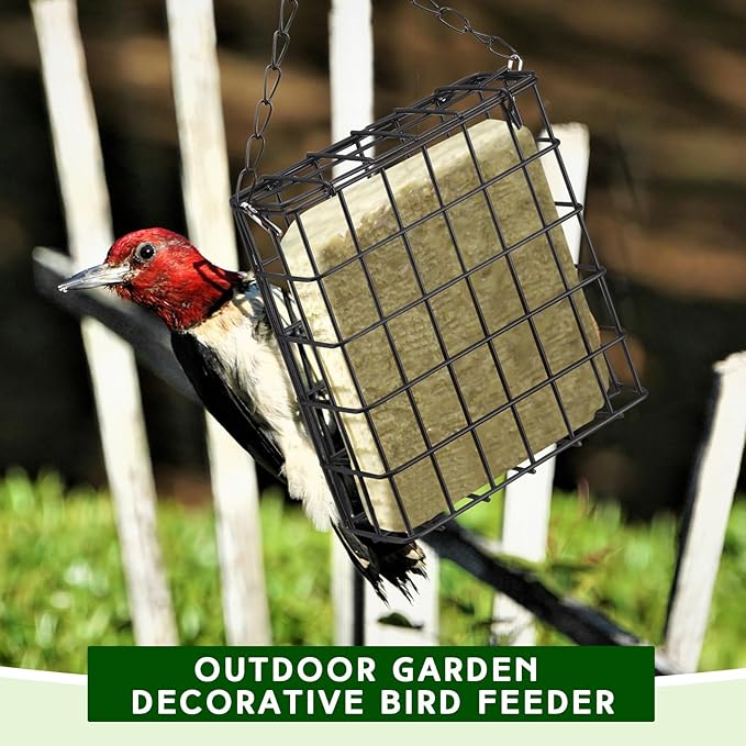 Zhehao 12 Pcs Suet Bird Feeders Outdoor, Hanging Wild Bird Feeder with Single Cake Capacity, Weatherproof Metal Suet Feeder for Garden Yard Outside Decoration, Easy to Clean & Hang (Black)