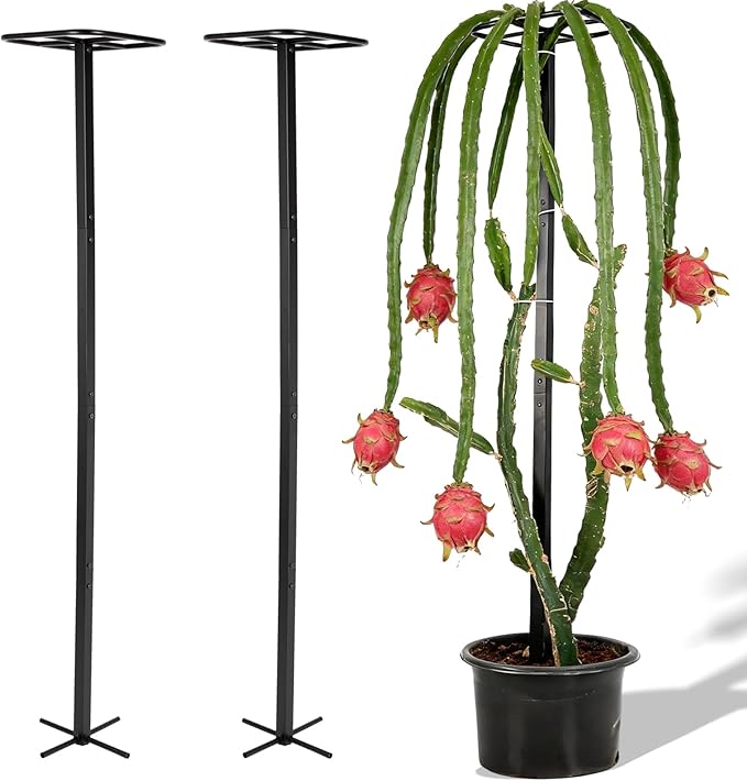 2-Pack 63-Inch Metal Dragon Fruit Trellis - Sturdy Support for Climbing Plants in Outdoor Gardens, Perfect for Dragonfruit, Tomatoes, Eggplants, and Beans - Durable, Stable & Easy to Install