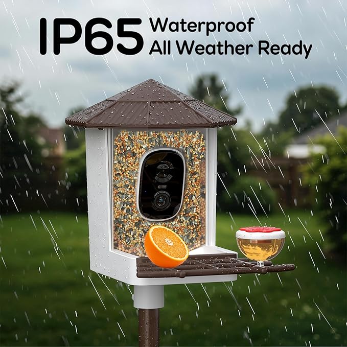 wansview Bird Feeder with Camera-Smart Bird Feeders for Outdoors Solar Powered, Birdhouse with Cam & Instant Alert, 2K Live Video, AI Identify Species, Ideal Gift for Tech Lovers, F1, Brown, 2.4G WiFi