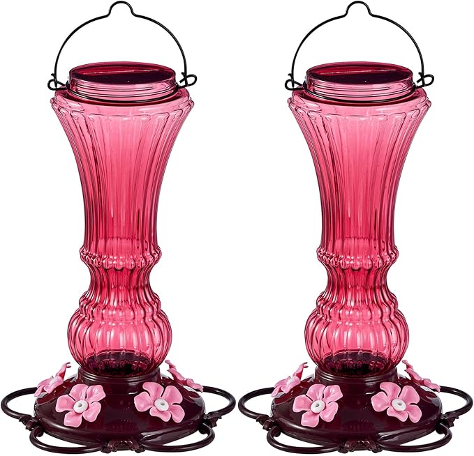 Hummingbird Feeder for Outdoors Plastic Humming Bird Nectar Feeders with 5 Flower Feeding Ports Hanging for Garden Decor, 20 oz (2 Pack