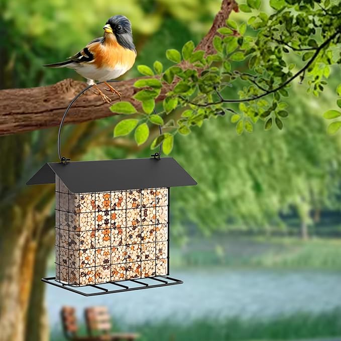 Suet Ball Bird Feeder Outdoor Hanging Metal Wire Wild Bird Feeder Fat Ball Food Feeder with Metal Roof and Platform Outside Cake Suet Feeder Rainproof (Black)
