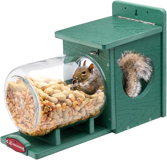 Kingsyard Recycled Plastic Squirrel Feeder for Outside, Squirrel Feeder Box with Peanuts Corn Storage Jar, Sturdy & Durable, Weatherproof (Green)