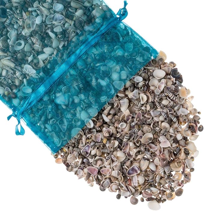 Tiny Miniature Fairy Garden Sea Shell Assorted Mix | Tiny Small Sea Shells for Craft and Decoration | Plus Free Nautical Ebook by Joseph Rains (7.5 Ounces, 750+)