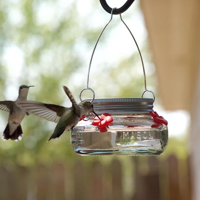 6 Nature's Way Mason Jar Hummingbird Feeders, 6 oz.6