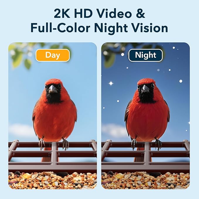 PeckCam® Bird Feeder with Camera Solar Powered, AI Identify & Auto Capture, 2K HD Live Video Smart Bird Feeder Camera Instant Notifications in Backyard, Gift for Bird Lovers