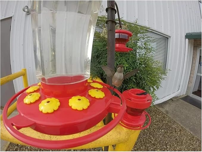 First Nature 3090 32-ounce Hummingbird Flower Feeder