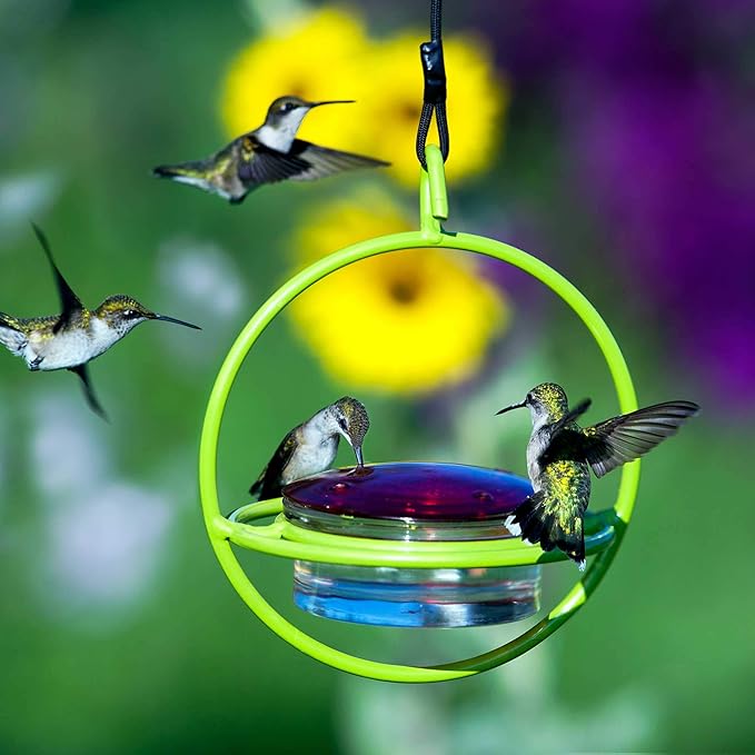 Hummingbird Feeder for Outdoors Hanging, 3.4 OZ Hummingbird Feeders, Glass Bowl with 4 Feeding Ports, Leak Proof Lid & Circular Perch, Bird Feeder (1, Lime)