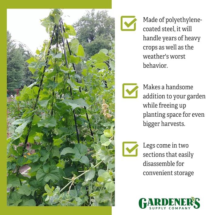 Gardeners Supply Company Extra Tall Garden Teepee Trellis | Sturdy Plant Support for Peas, Beans, Squash, and Other Garden Climbing Vine Plants | Quick and Easy Setup - 87" H