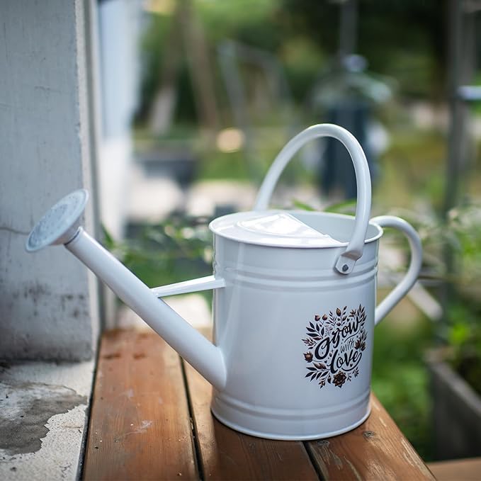 1 Gal Galvanized Steel Watering Can Decorative Farmhouse Style Watering Can, Removable Rosette-Diffuser, Perfect for Indoor and Outdoor Use (1 Gallon White with Floral Design, 1 Gallon)