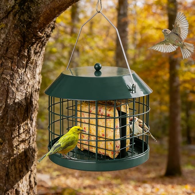 Caged Suet Bird Feeder for Outdoors Hanging, Squirrel Proof Double Suet Feeder for Small Birds, Metal Cage with Detachable Hook, Large Space, Outdoors Weatherproof, Green