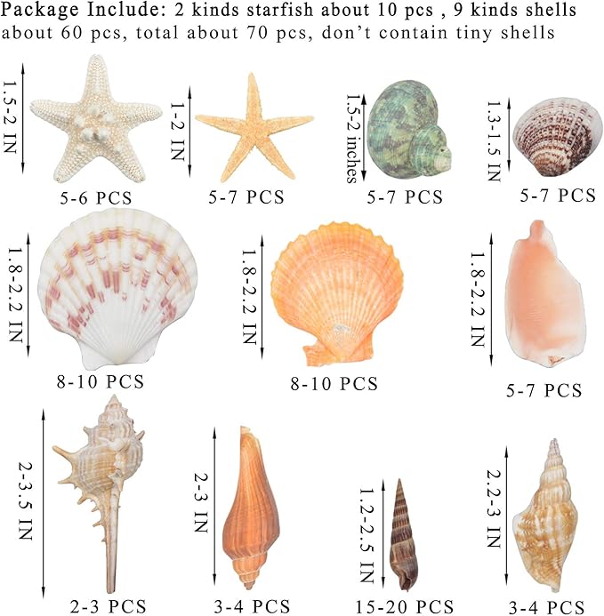 Sea Shells Mixed Beach Seashells 9 Kinds 1.2"-3.5 "Various Sizes Natural Seashells and 2 Kinds of Natural Starfish for Beach Themed Party DIY Crafts Fishtank Vase Fillers Home Wedding Decorations