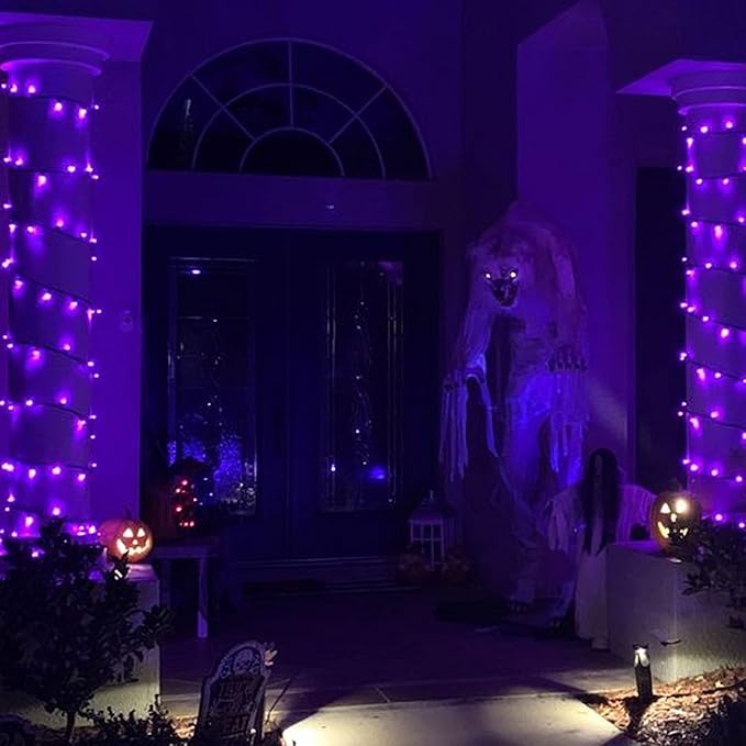 TW SHINE Purple Halloween Lights, 2 Pack 20FT 100 Count Incandescent Halloween Mini String Lights, Waterproof Halloween Decorations for Outdoor Indoor Patio Home Party Garden Yard Decor