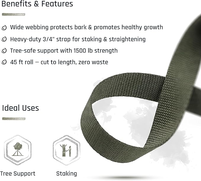 Tree Straps for Staking, Tree Ties for Plant Support, 3/4 Inch Width Guying Material Webbing Garden Strap for Outdoor Tree Straightening, 1500 Lbs Strength (Army Green) - 100 Feet