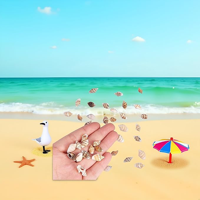 30Pcs Tiny Sea Shell Ocean Beach Spiral Seashells Craft Tiny Miniature Fairy Garden Beach Critter Seashells Beach Theme Party Wedding Decor Mini Conch Home Décor Products