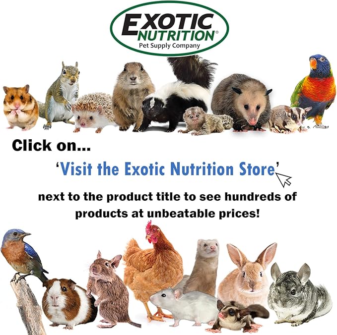 Exotic Nutrition Squirrel Complete (15 lb.) - Healthy Natural Food for Pet & Captive Squirrels - Ground, Grey, and Flying Squirrels, & Chipmunks