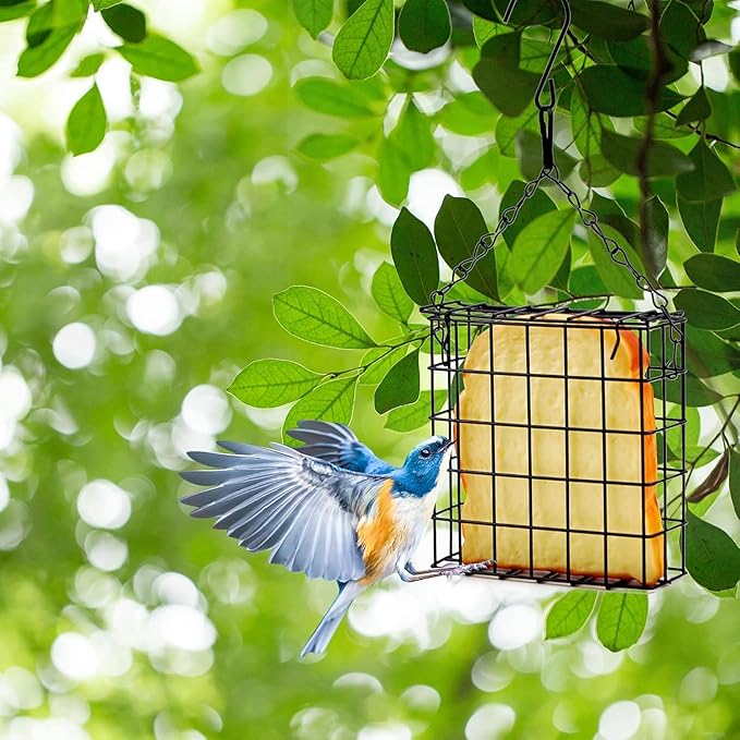 Suet Feeder for Outdoor Garden Yard Patio Hanging Metal Suet Cake Holder Squirrel Proof Weatherproof Bird Parrot Feeders Single Suet Cage for Wild Birds Woodpecker Hummingbird