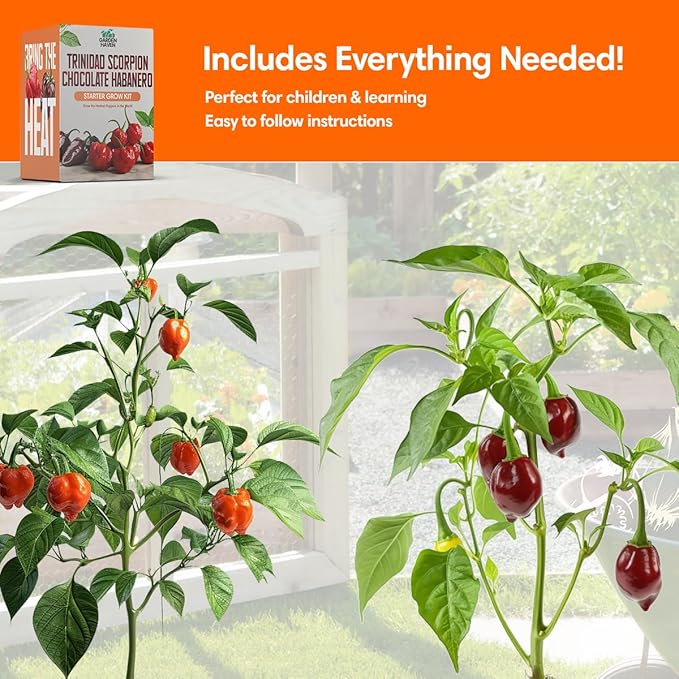 Chocolate Trinidad Scorpion Pepper Seed Starter Kit, Hot Pepper Grow Kit with Peat Pots, Coco Coir Discs, Plant Markers and Instructions, Indoor/Outdoor Growing