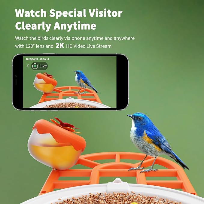 Bird Feeder with Camera with AI Identify Birds Species Solar Powered, Smart Bird House with Cam, 2K HD Video Live Stream, Instant Arrival Alerts - Orange