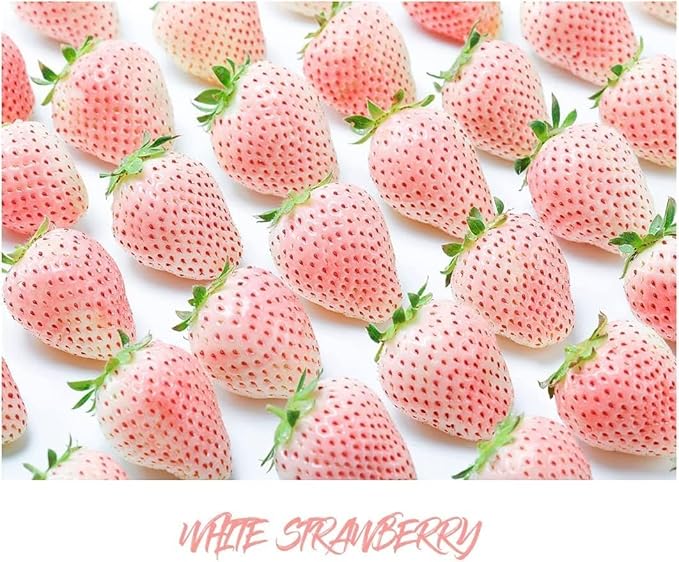 800 Mixed Strawberry Seeds - 4 Colors - Non-GMO Heirloom Perennial Seeds for Planting - Sweet Juicy Berries, Suitable for Indoor/Outdoor Gardens, Pots & Flower Beds