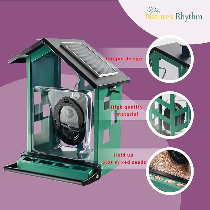 Bird Feeder Squirrel-Proof Bird Feeder with Camera Watch The Birds Feed