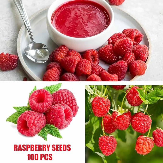 Berry Seeds Variety Pack, 310 Seeds Total, Non-GMO Strawberry, Raspberry, Elderberry, Cherry Mix for Home Garden, Easy to Plant