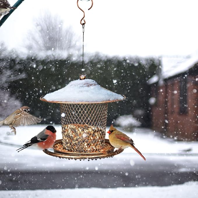 Bird Feeders for Outdoors, Heavy Duty Metal Wild Finch Feeder for Sparrow, 2lbs Capacity Cute Lantern Bird Feeder for Garden Yard Outside Hanging