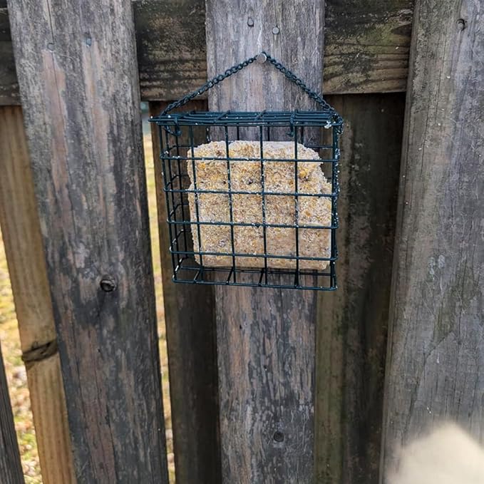 Suet Cake Bird Feeder Hanging Wild Bird Feeder for Outdoor Garden Cages Outside Suet Fruit Capacity Feeders (2 Pcs Black)