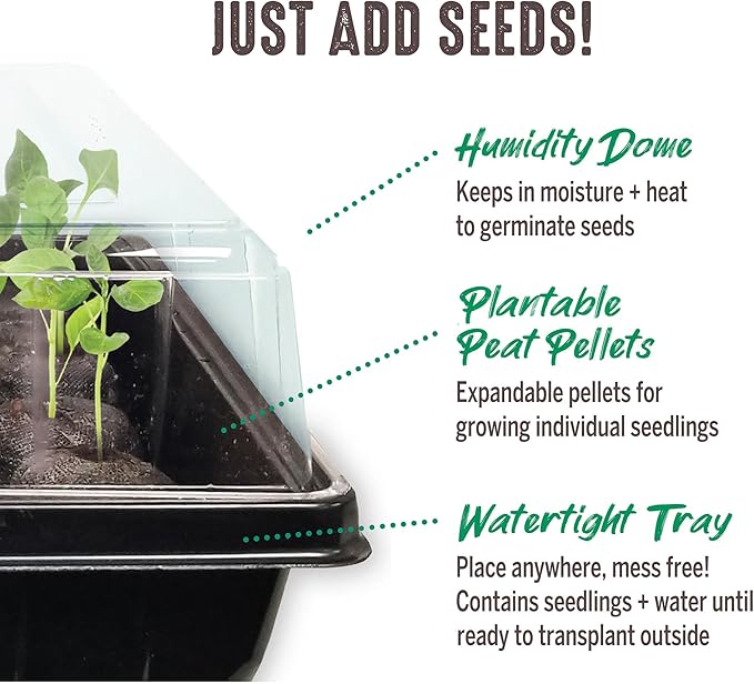Ferry Morse Jiffy Seed Starter Tray Kit - 50 Cell, Bonus SUPERthrive, Plant Labels - 2 Pack - Peat/Plastic