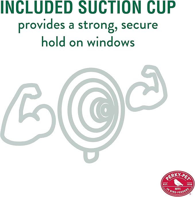 Perky-Pet 217 Window Mount Plastic Hummingbird Feeder with Perches - 8 oz Outdoor Garden Décor Hummingbird Feeder (Pack of 2)