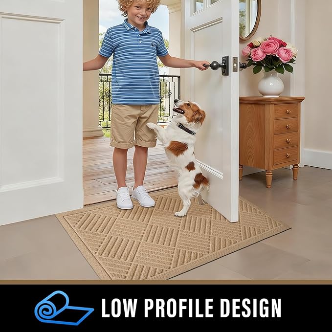 PLEASOR Front Door Mat Outside Entrance, Dirt Resistant and Absorbent Welcome Door Mat Outdoor Indoor, Sturdy Non-Slip Backing Entry Mat, Fade Resistant, Low Profile Doormat for Entryway, 36x24,Beige