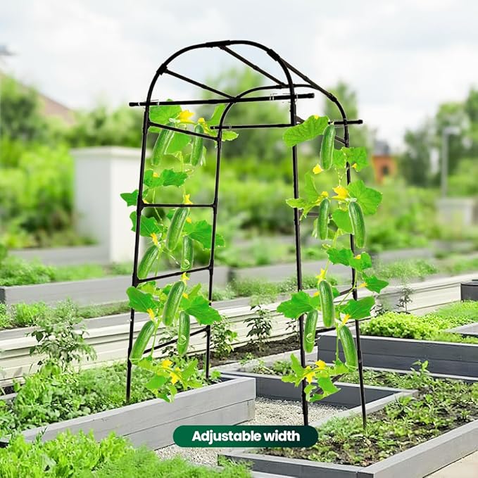 Garden Arch Trellis, 80'' Tall Walk-Through Plant Support for Climbing Vines Flowers Vegetables Grapes and Tomatoes Sturdy Outdoor Metal Arbor for Raised Beds
