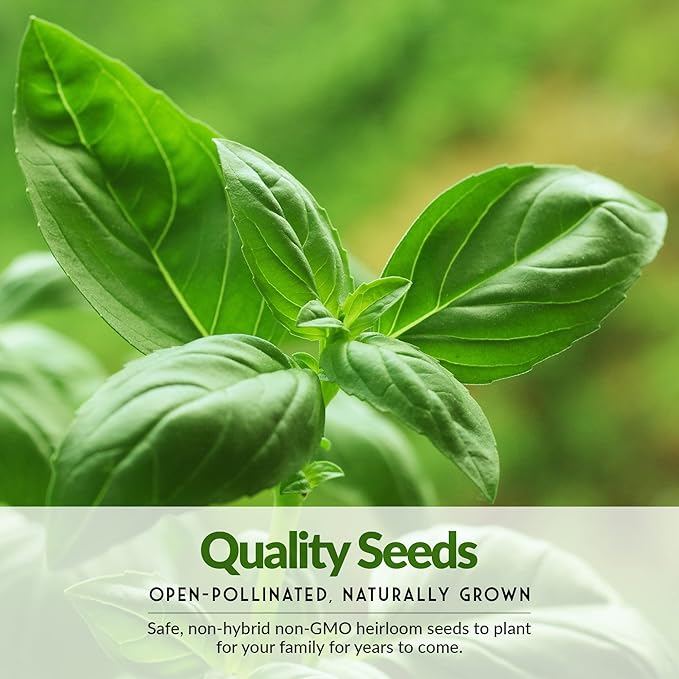 Vegetable Garden Starter Kit – 20 Variety Heirloom Non-GMO Seeds for Planting | Giftable Family Garden Kit for Beginner Victory Gardens – Start Growing Indoors or Outdoors – Survival Garden Seeds