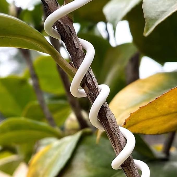 65.5 Feet Twist Ties for Climbing Plants Green Gear Ties Garden Plant Wire Outdoor & Indoor Plants Supporting Tree Tomatoes Vegetables Tape (Diameter - 2.5MM)