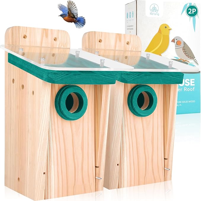 2 Pack Cedar Wood Bird Houses for Outside Hanging, Large Bird Houses for Outdoors with 2 Layers Roof, Easy DIY Outdoor Nesting Box for Adults, Nesting Boxes for Cardinals, Chickadees, Wrens