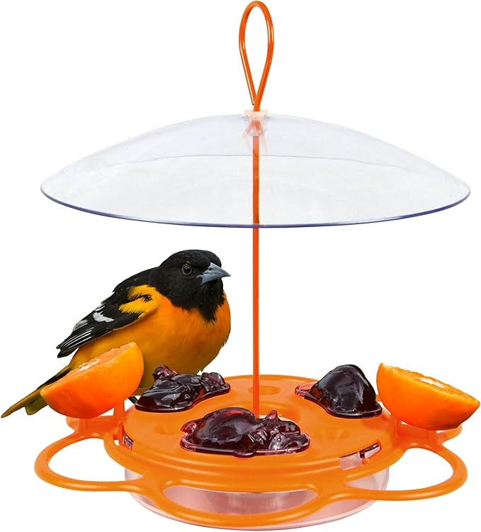 Nature's Way OFP1 All-in- Oriole Buffet Bird Feeder,Orange,(Pack of 6)