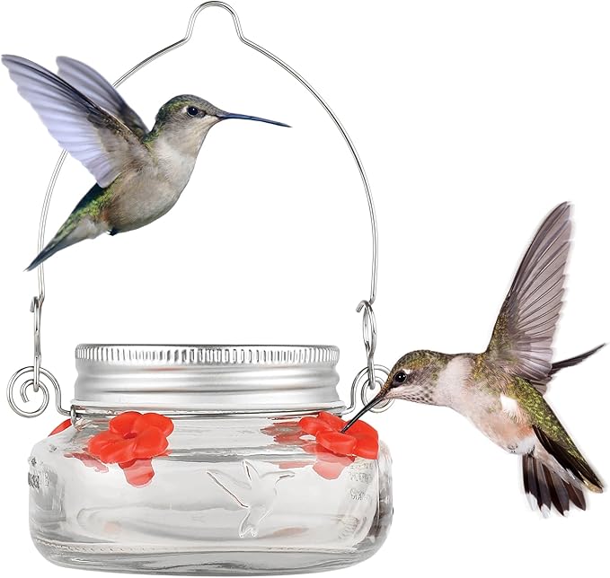 6 Nature's Way Mason Jar Hummingbird Feeders, 6 oz.6