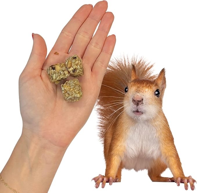 Exotic Nutrition Squirrel Beneficial Blocks - Healthy & Unique Supplemental Food with Nuts & Seeds, 20 oz
