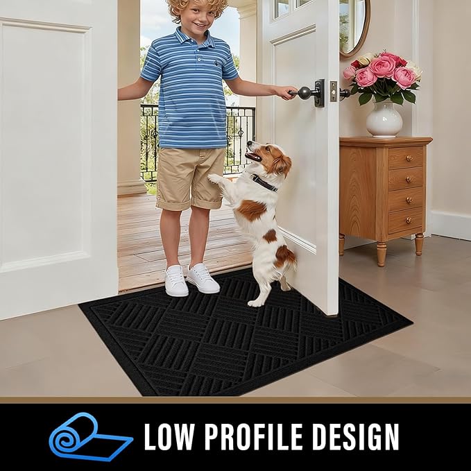 PLEASOR Front Door Mat Outside Entrance, Dirt Resistant and Absorbent Welcome Door Mat Outdoor Indoor,Sturdy Non-Slip Backing Entry Mat, Fade Resistant, Low Profile Doormat for Entryway, 29x17, Black