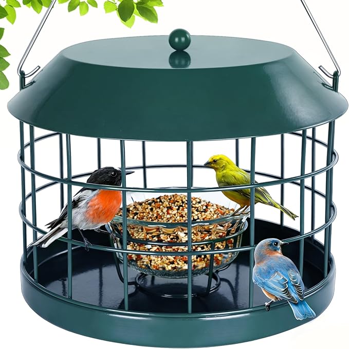 Caged Bluebird Feeder for Mealworms with Glass Bowl, Squirrel Proof Bird Feeder for Small Birds Only, Detachable Hook, Large Space, Outdoors Weatherproof, Metal, Green