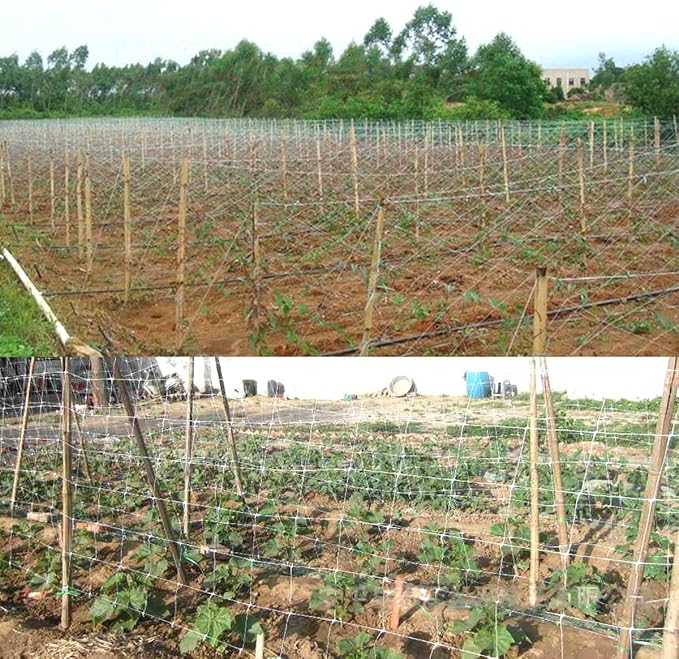 White Trellis Netting 6.5x100 ft Heavy Duty Garden Trellis Netting Polypropylene Plant Support Net for Climbing Vegetables Fruits Flowers