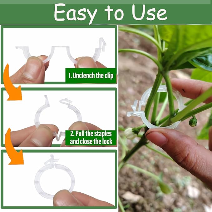 Secured Plastic Plant Clip, Plant Support Clips, Garden Clips for Climbing Plants, Plastic Trellis Clips Plant Support Clips Tomato Grape Vine Vegetables Plant Fixing Clips (100, White)