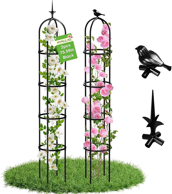 6.2ft Garden Obelisk Trellis for Climbing Plants Rustproof Metal Pipe with Heavy Duty Plastic Coated Garden Outdoor Indoor Potted Plant Support for Clematis Vine Jasmine Support (Black, 6.3 Ft(2 Pcs))