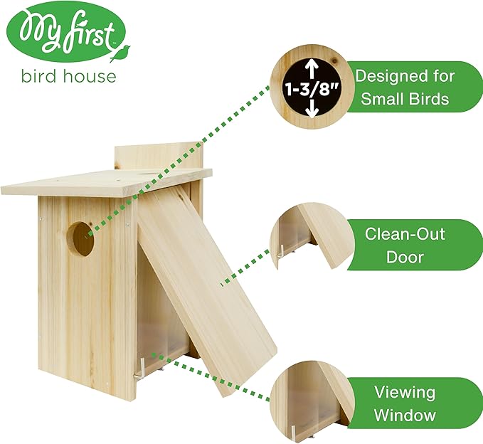 Nature's Way Bird Products DIY First Viewing Window Garden-Bird-House, Wood