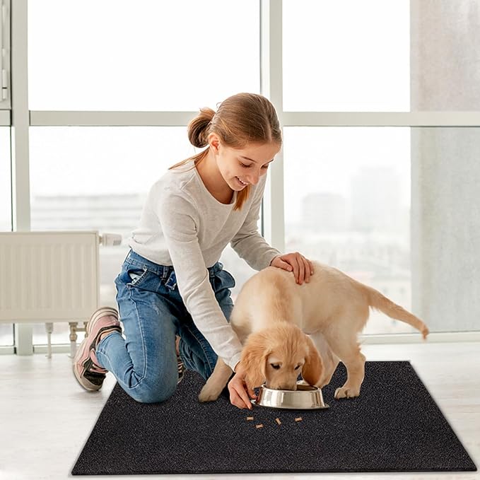 AAZZKANG Large Front Door Mat Outdoor 2 Pack with Non Slip Backing Multipurpose Utility Mats 36"x24" Blank Doormat Ultra Absorb Mud Easy to Clean Welcome Mat for Indoor,Entrance