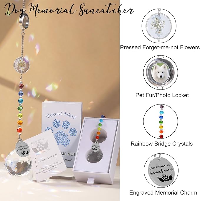 Pet Memorial Suncatcher Loss of Dog Sympathy Gift, Rainbow Bridge Dog Bereavement Cat Memorial Gifts, Passing Away Remembrance Gifts (1, Round)