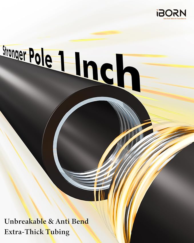 iBorn Bird Feeder Pole with Squirrel Baffle 78'' Wild Bird Feeder Pole Kit,Shepherd Hook with 19.5'' Oversized Guard Baffles for Feeders Outdoor Hanging (Feeders NOT Included)