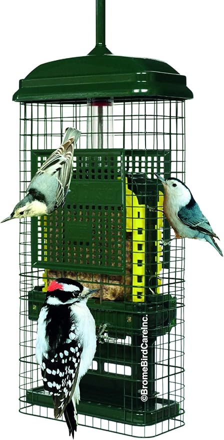 Squirrel Buster Suet Squirrel-Proof Suet Bird Feeder with Two Suet Cake Trays, Two Crumb Ports, Mess-Free Suet Loading, Durable Green Design for Clinging Birds