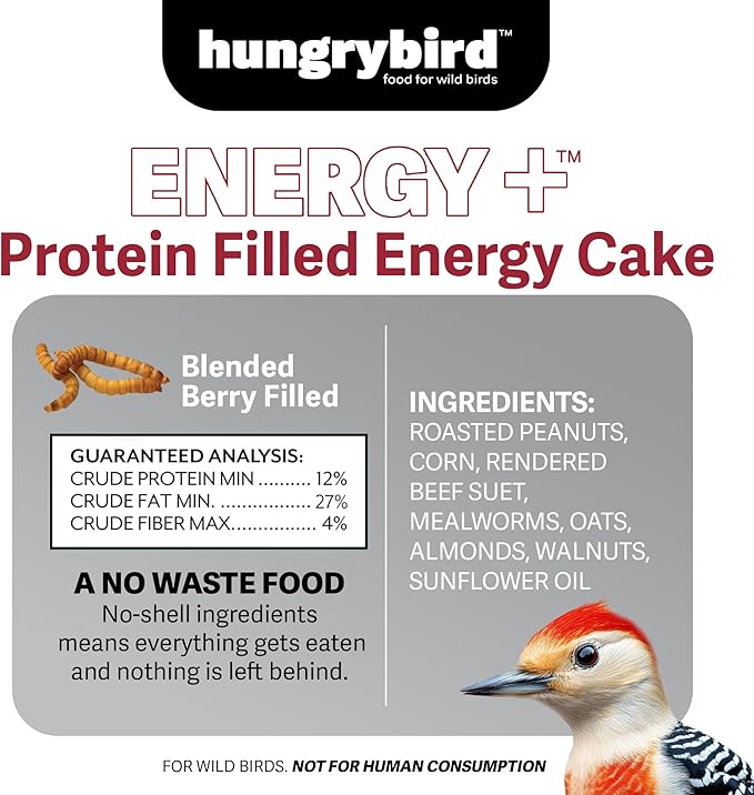 Energy+ No-Melt, High-Protein Suet Cake with Mealworm Filling for Outside Wild Bird Feeders