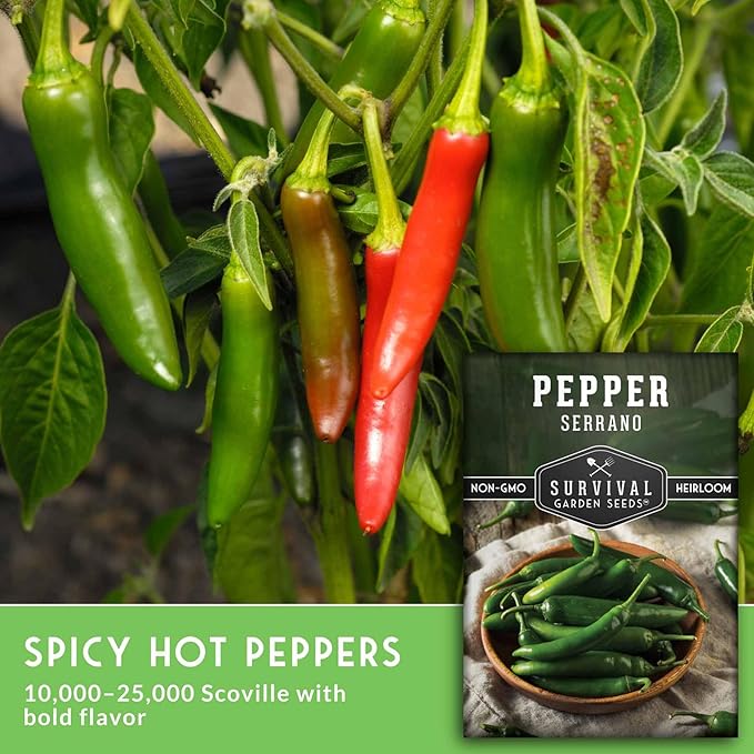 Mexican Serrano Pepper Seeds for Planting | Fresh Hot Chili & Green Hot Pepper Seeds – Heirloom Non‑GMO Variety for Sauce, Pickling & Salsa – Survival Garden Seeds (1 Pack)
